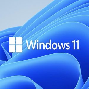 Windows 11 Professional Cover